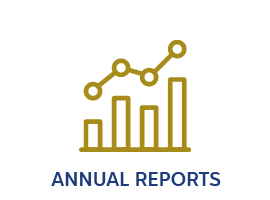 annual reports icon