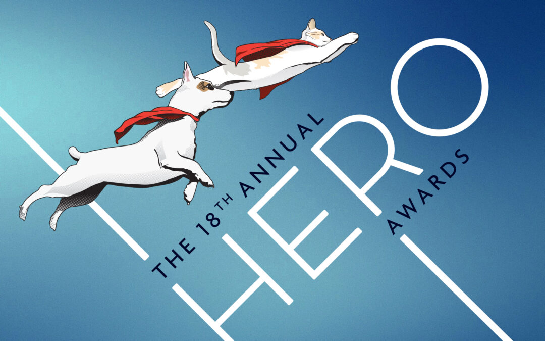 Thank you for making the 18th Annual HERO Awards a success! (Watch the Replay)