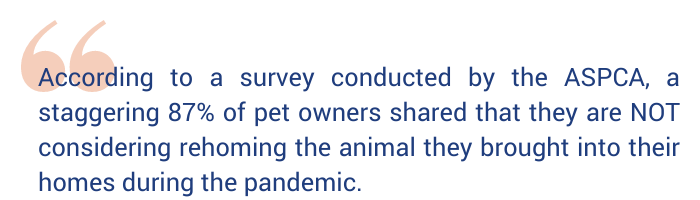 Quote graphic that says "according to a survey conducted by the ASPCA, a staggering 87% of pet owners shared that they are NOT considering rehoming the animal they brought into their homes during the pandemic."