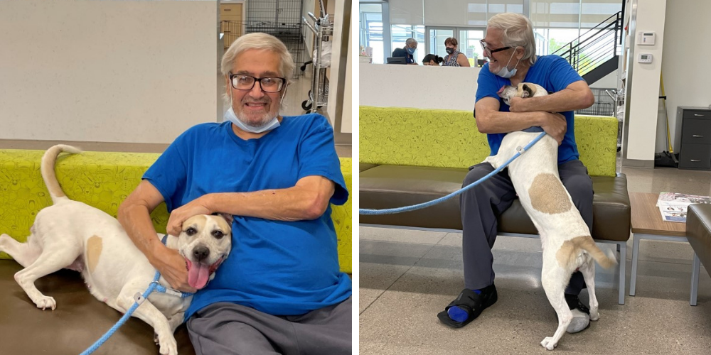 senior citizen hugging his dog