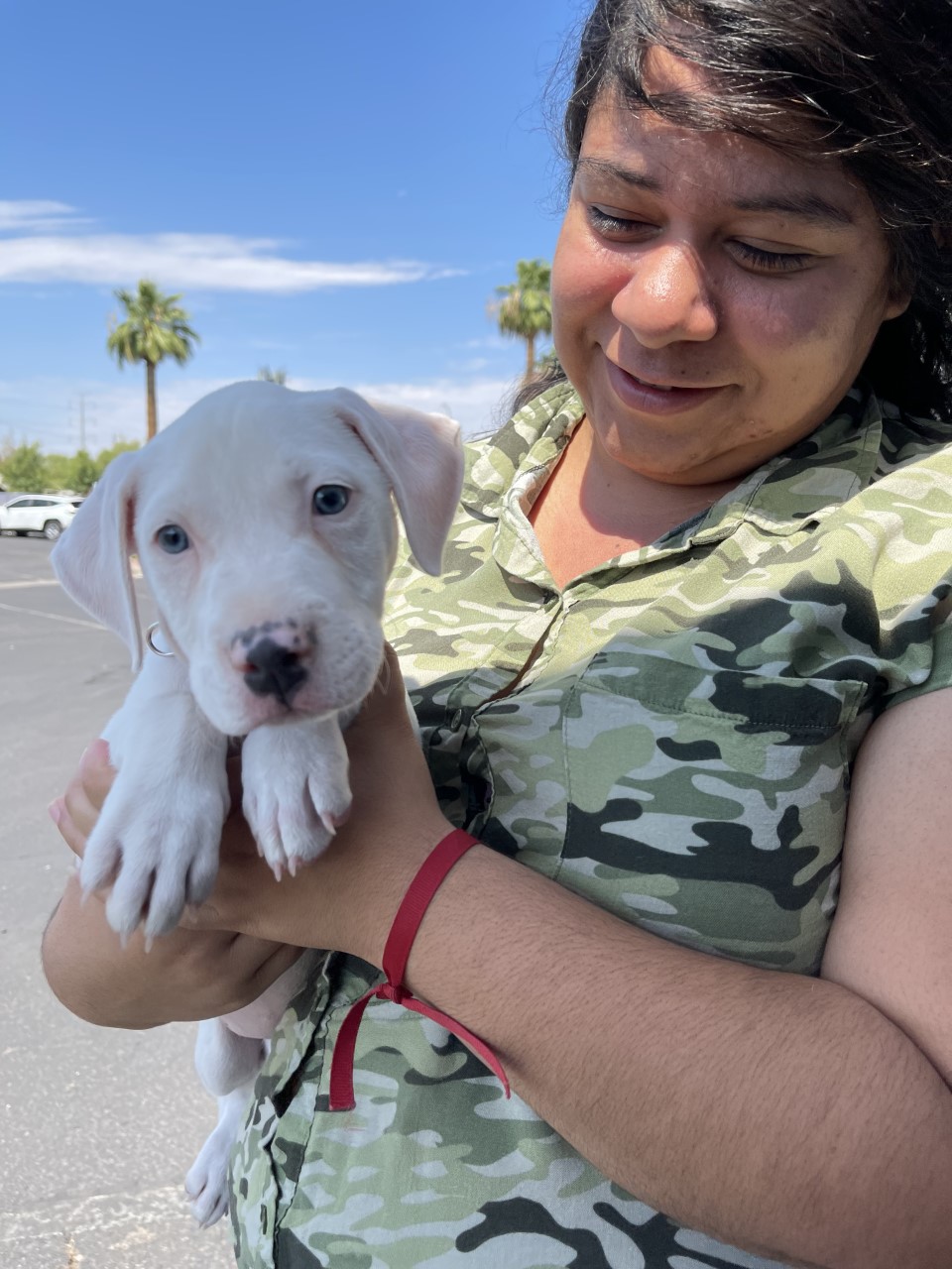 woman holding small white terrier mix