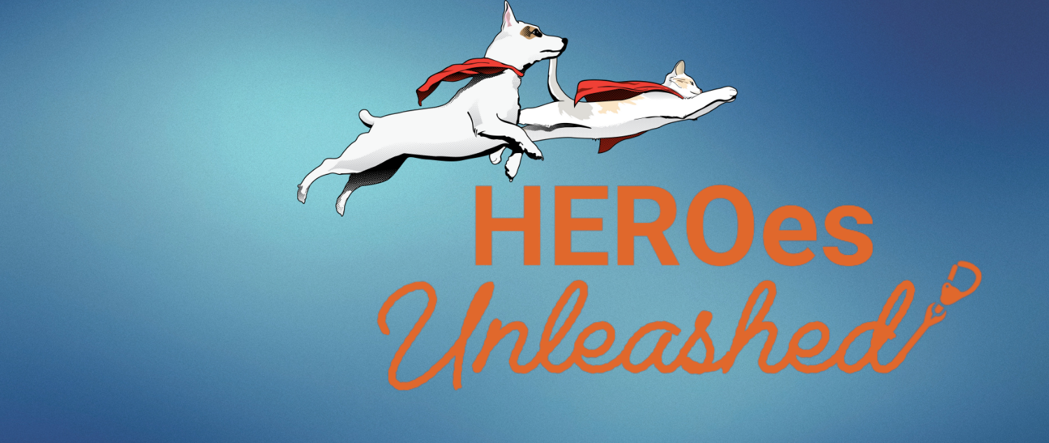 Heroes Unleashed Event Graphic Semi Transparent SNIFF event image