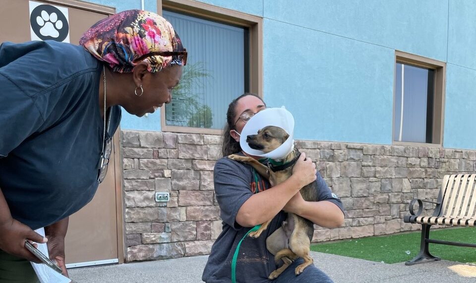 Woman smiling at her dog who is being held by animal shelter employee dog is wearing a cone