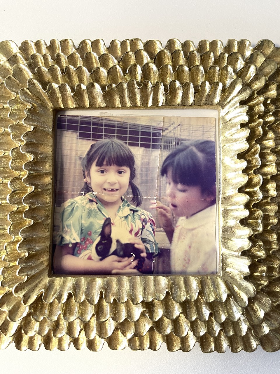 old family photo showing two girls holding and petting a rabbit