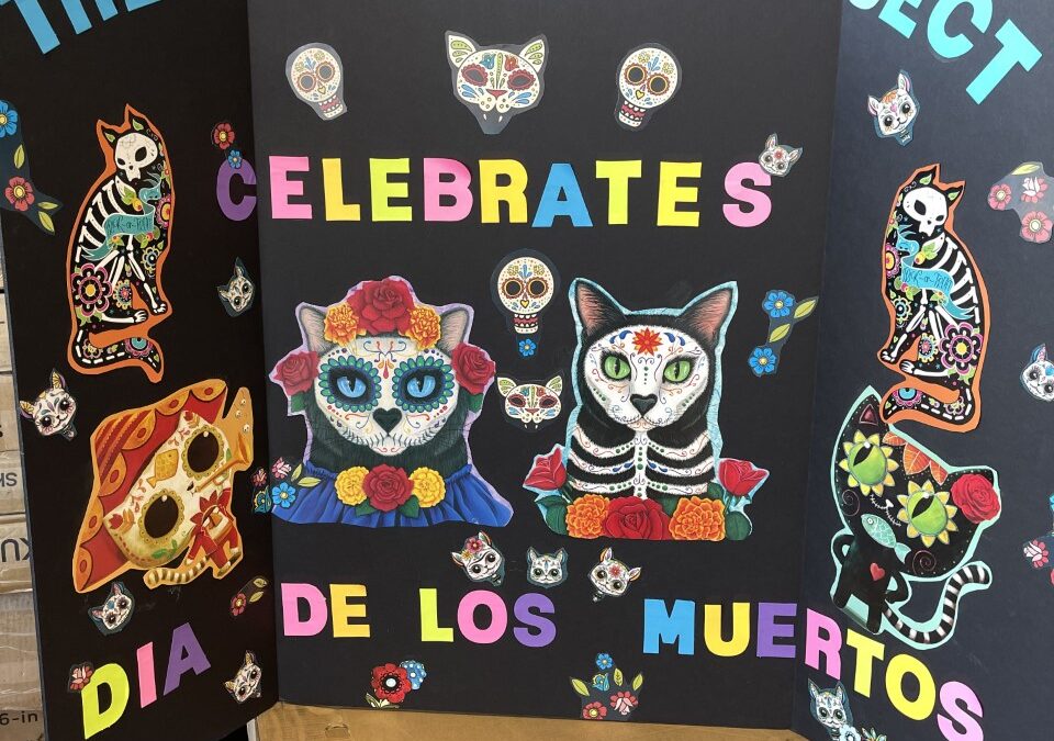 A Day of the Dead Letter from our Operations Manager