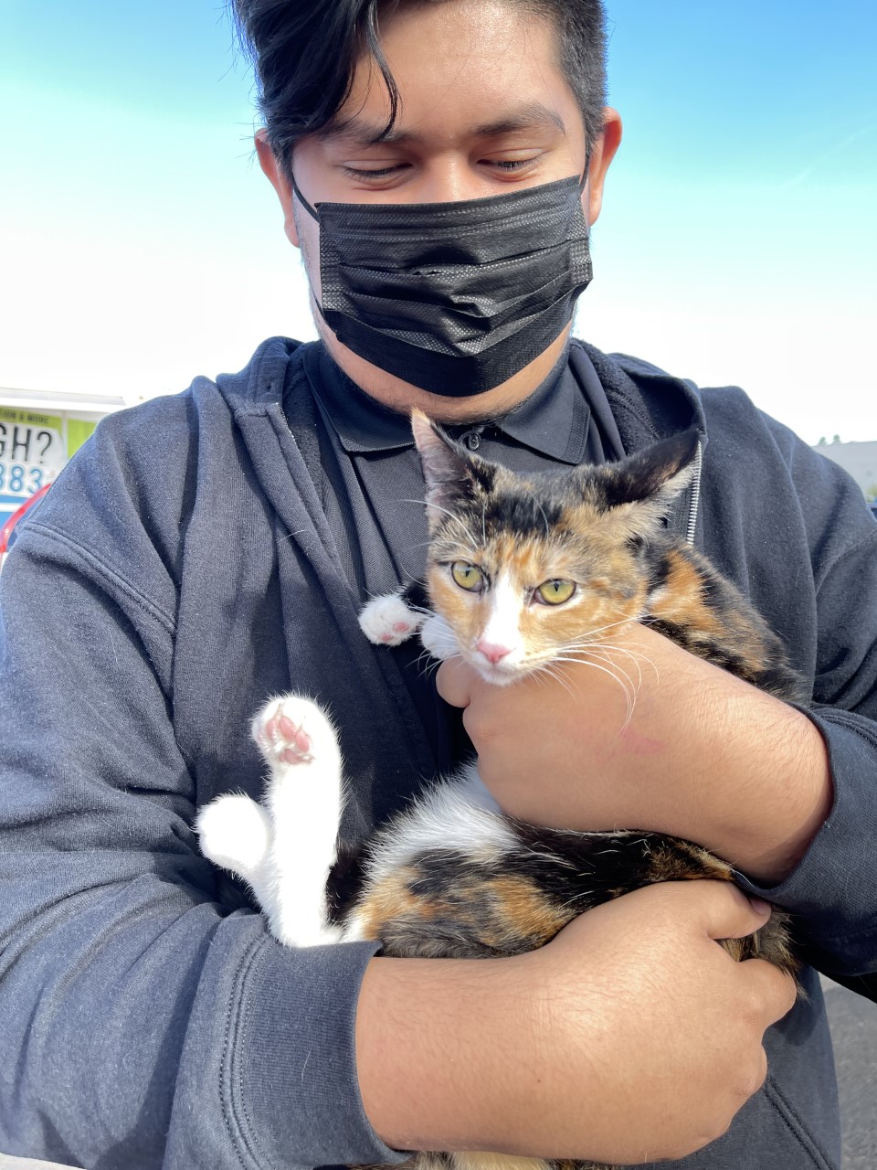 cat with person