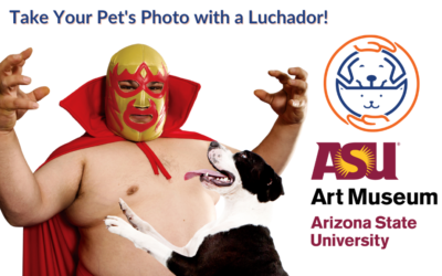 Cinco de Mayo with Luchadores and Pets
