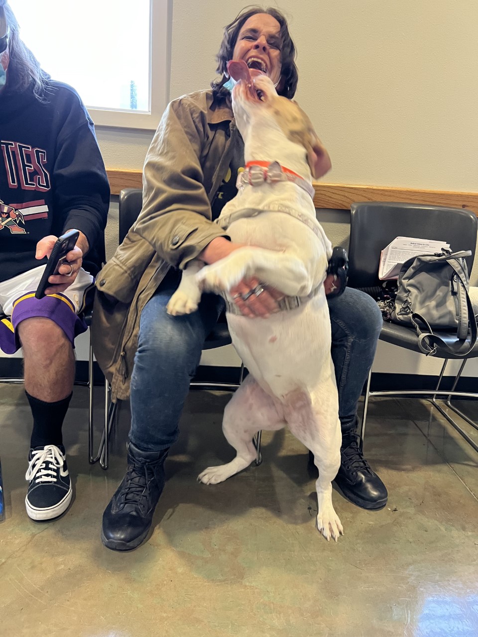 woman laughing while dog jumps up to give her kisses on her face