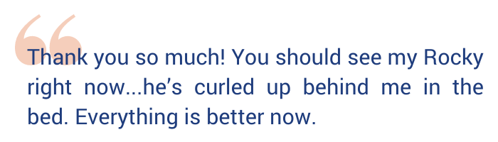 Quote reads: Thank you so much! You should see my Rocky right now...he's curled up behind me in the bed. Everything is better now."
