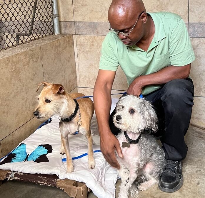 Michael, a Veteran Dog Dad, is Reunited with Ace and Cinnamon!