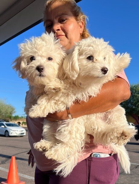 woman holding two dogs named Chip and Chapo