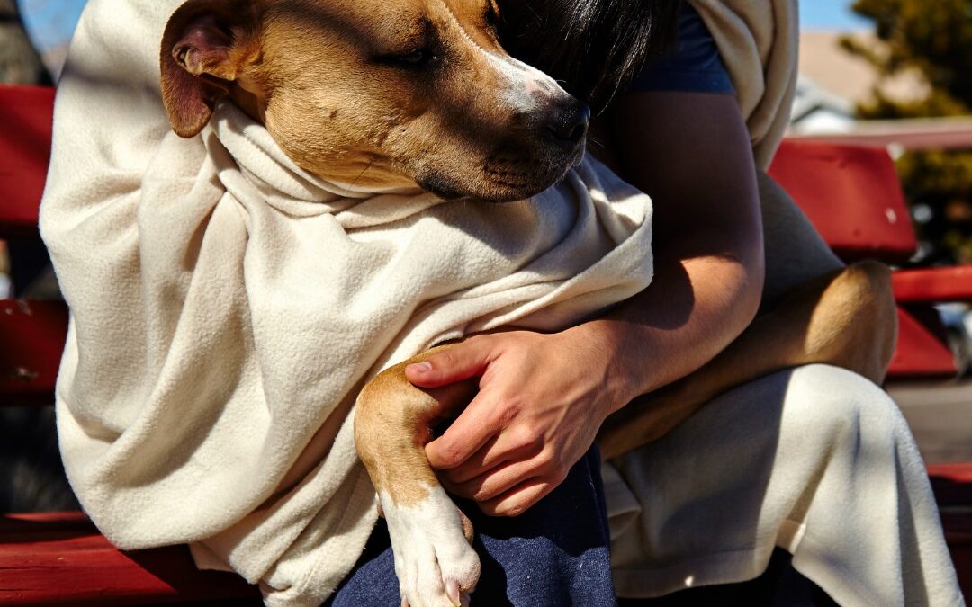 Support for The Arizona Homeless Community and Their Pets