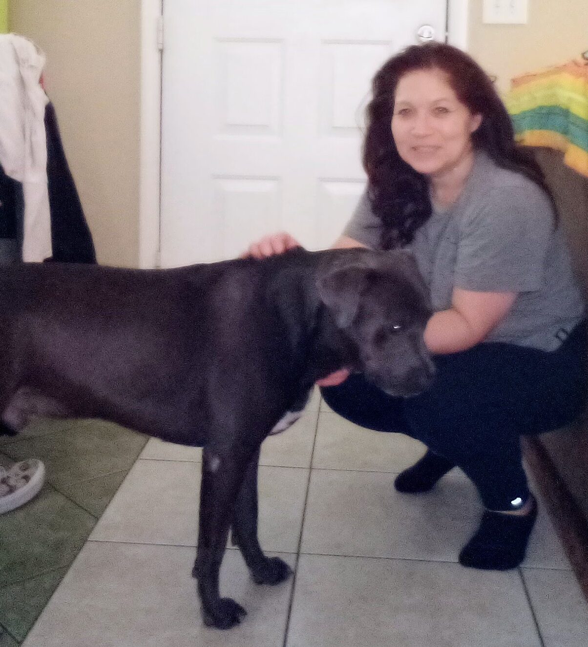 woman kneeling down next to dog