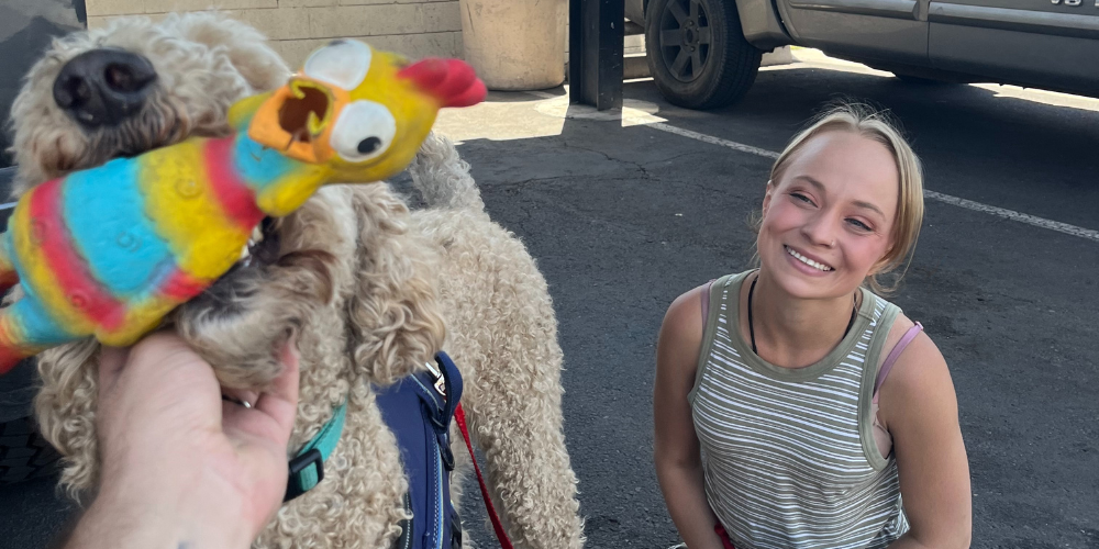 young woman with blond hair sitting on the ground smiling at her dog holding a toy in its mouth