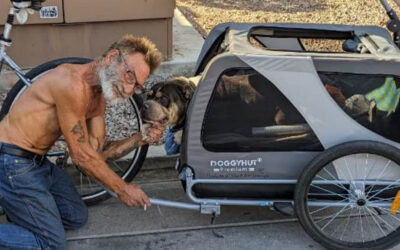 Supporting Unhoused Pet Families Like Joe and Blue