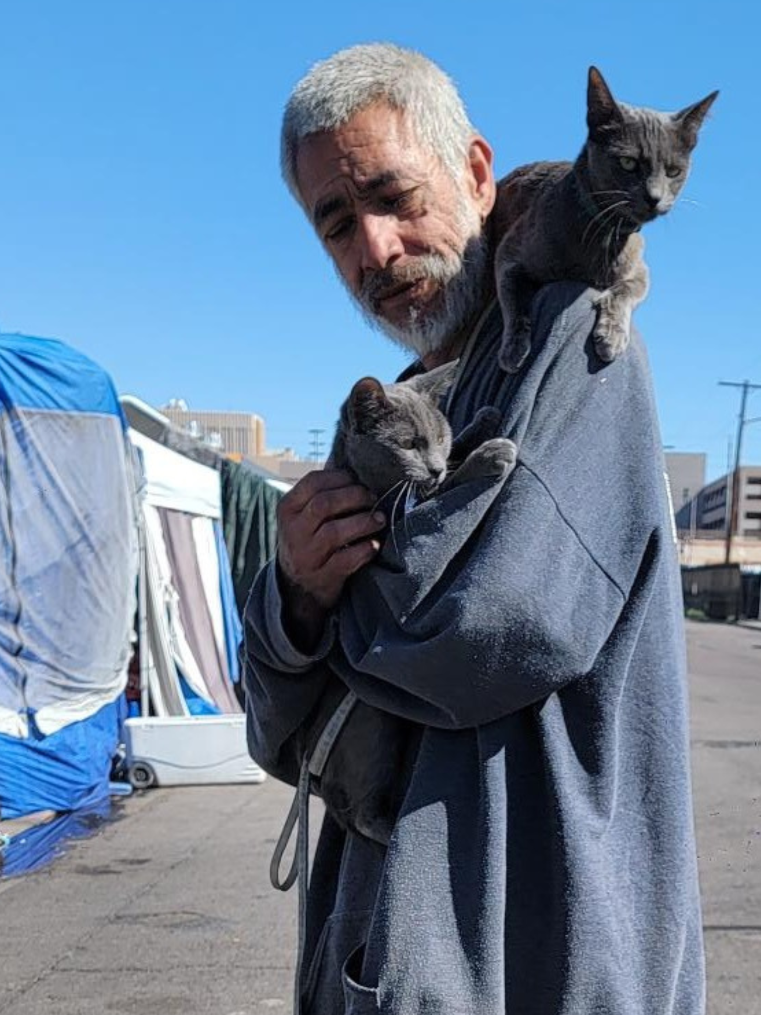 Pet resources for unhoused people and pets in Phoenix