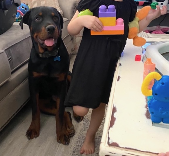 dog sitting next to young girl