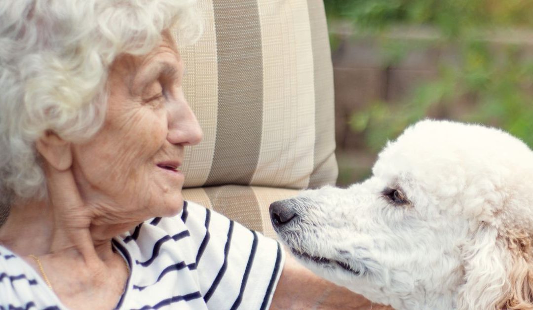 $75,000 Grant to Support Older Adults & Their Pets