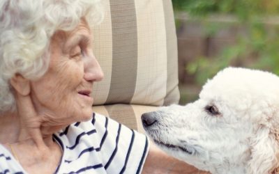 $75,000 Grant to Support Older Adults & Their Pets