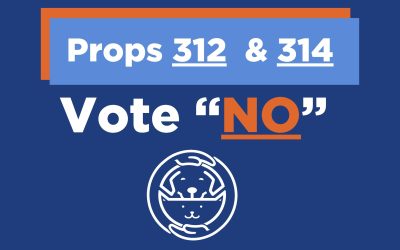 Vote “No” on Props 312 & 314