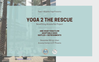 Yoga to the Rescue Benefiting The Arizona Pet Project