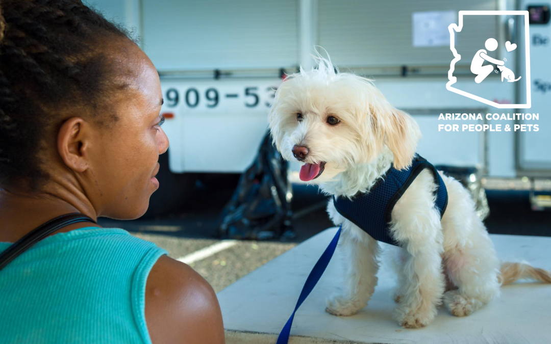 Announcing the Arizona Coalition for People and Pets