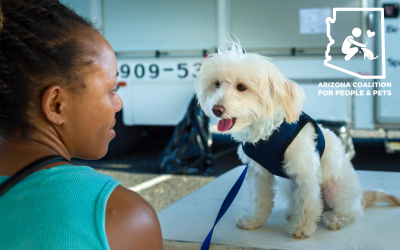 Announcing the Arizona Coalition for People and Pets