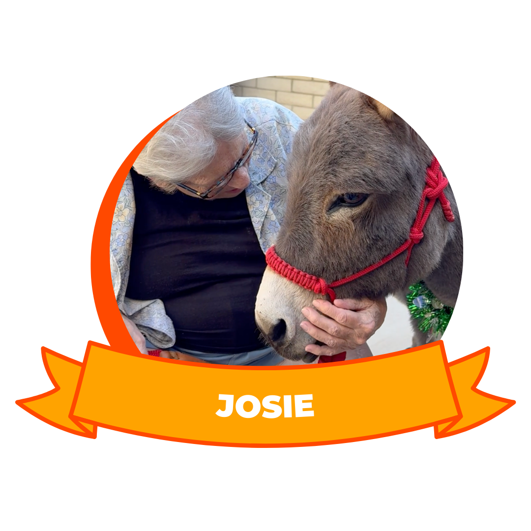 HERO 2026 Animal Survivor - Piper