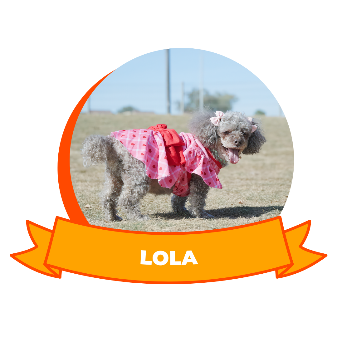 HERO 2026 Animal Hero - Lola