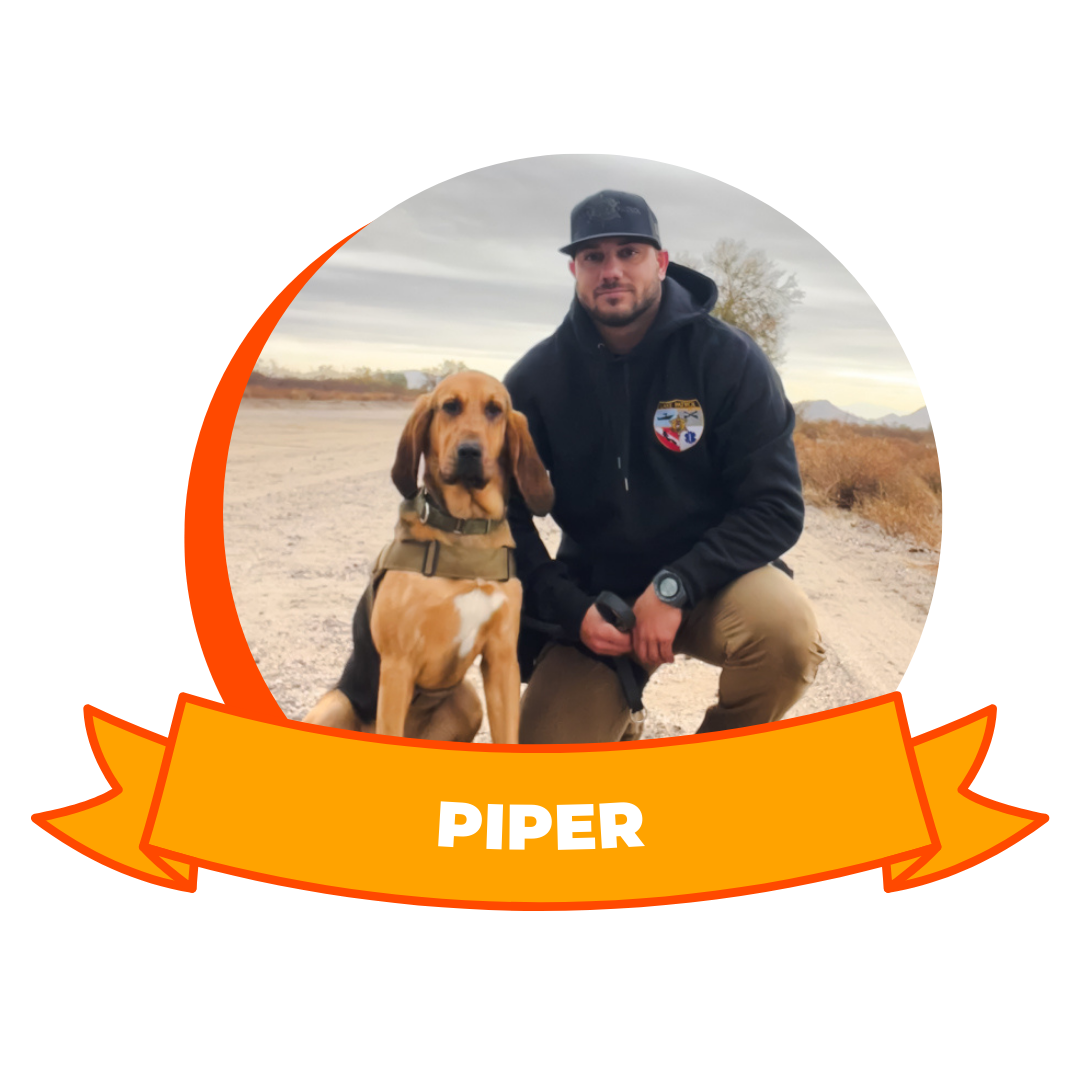 HERO 2026 Service to the Community Honoree - Piper