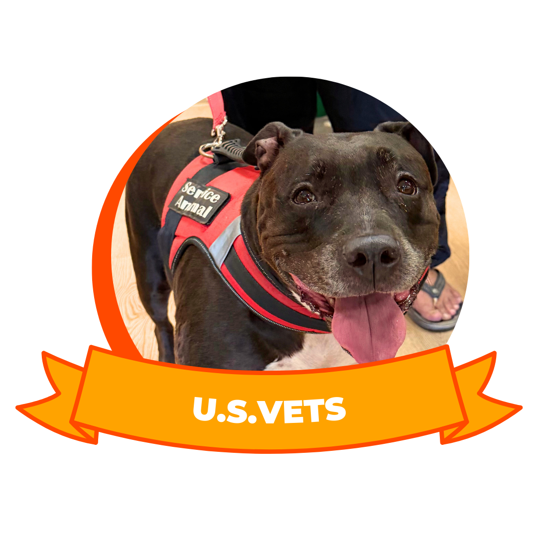 HERO 2026 Team's Choice - U.S.VETS