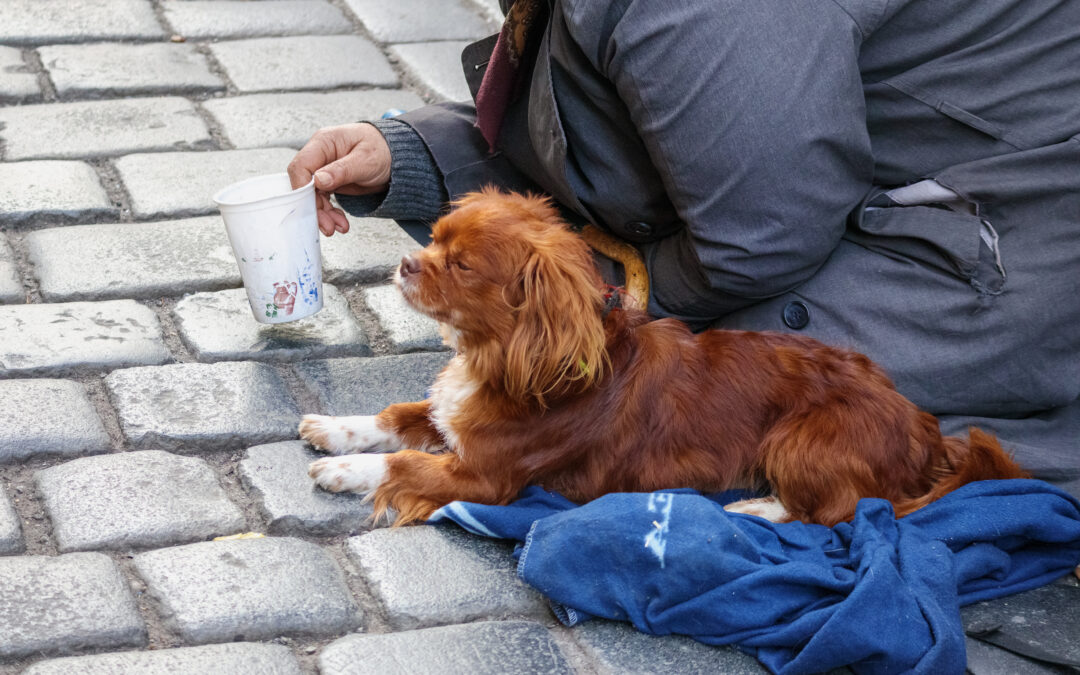 The Impact of the Affordability and Housing Crises on Pets